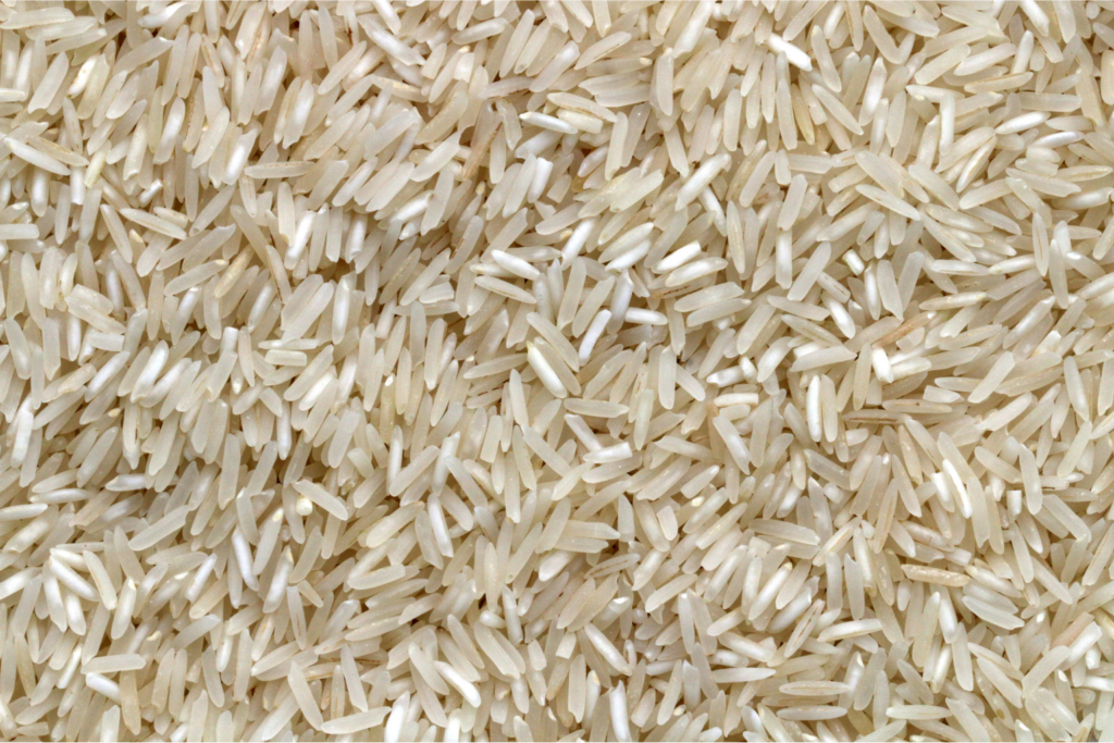 Rice Export Documentation
