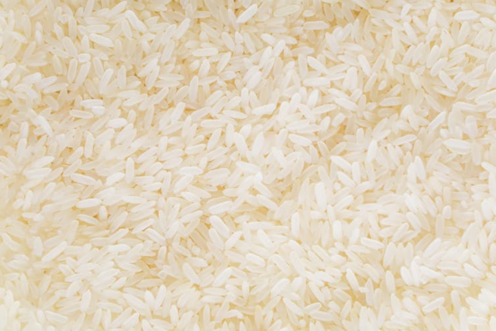 Rice Export Logistics