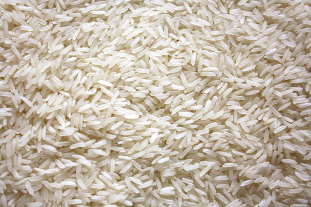 Top Countries to Export Rice