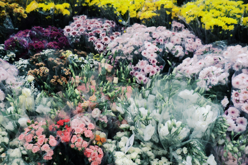Fresh flower export packaging means beautifully crisp blooms