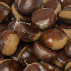 Fresh Chestnuts