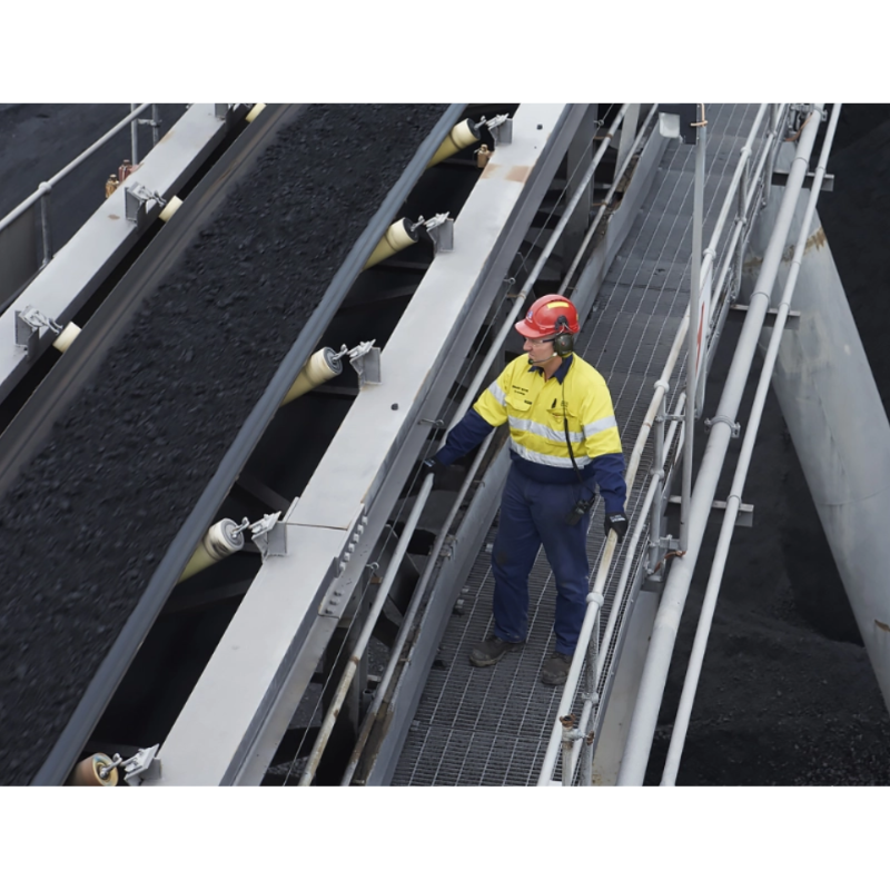 Coal
