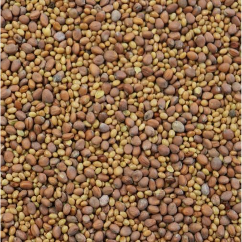CCR Cover Crop Mix