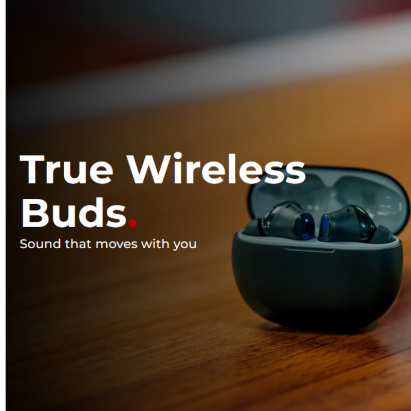 True Wireless Buds
