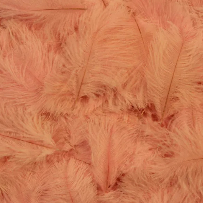 Pink Ostrich Feathers