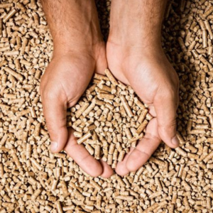 Biomass Wood Pellets