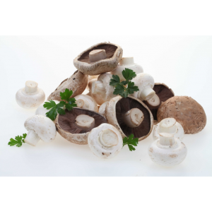 Brown Mushrooms