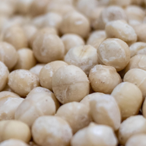 Macadamia Nuts Whole Halves Diced in Bulk