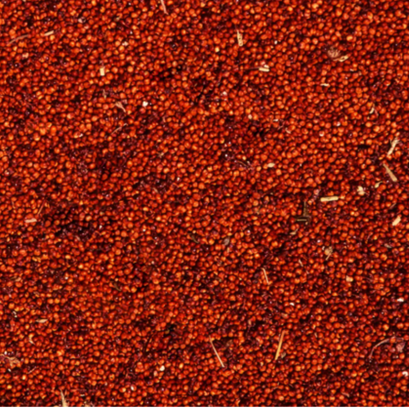 Sorghum Seed