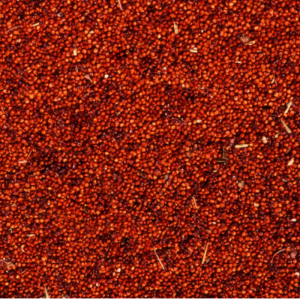 High Quality Agricultural Seeds for Bulk and Wholesale Markets