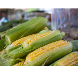 Karate Zeon  Insecticide Multi-Action Crop Protection 