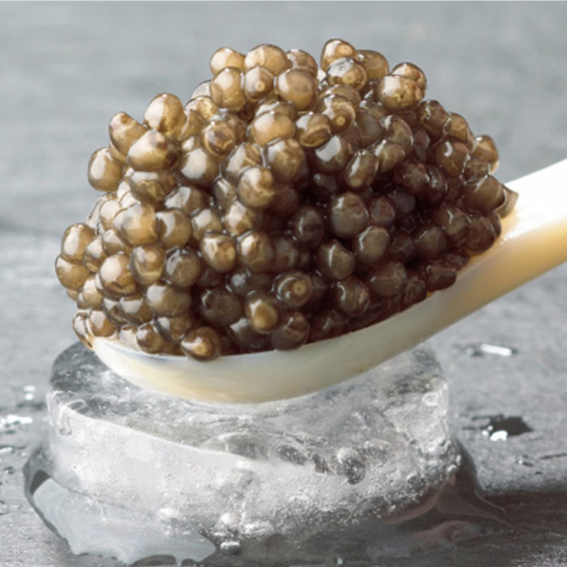 Beluga Caviar in Bulk