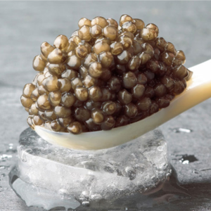 Beluga Caviar Large Quantities for Restaurants