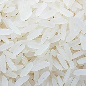 Jasmine Rice in Bulk | Aromatic, Medium-Grain Rice from Vietnam