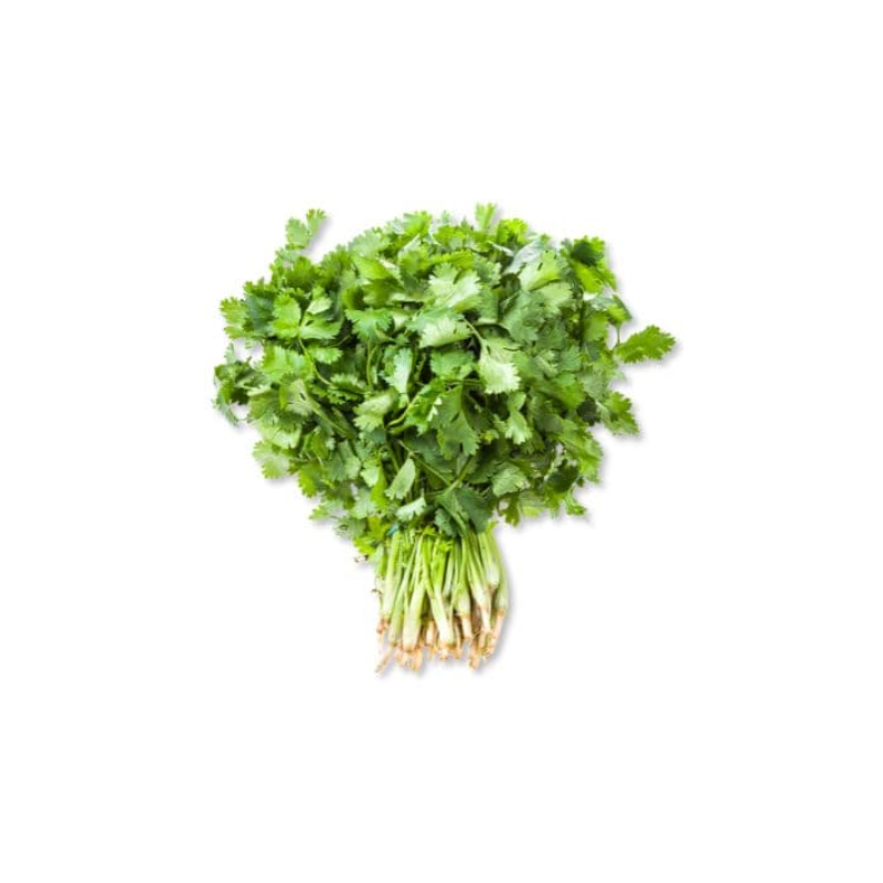 Fresh Cilantro Bundles