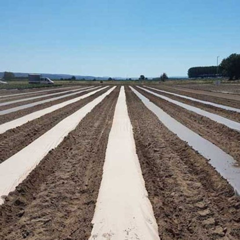 Farm Mulch Paper