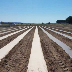 Farm Mulch Paper