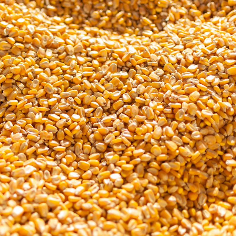 Bulk Maize (Corn)