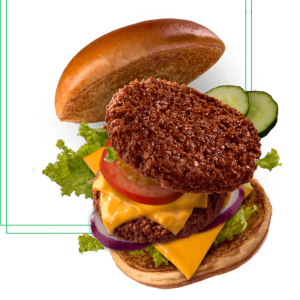 Plant Based Hamburger Patties