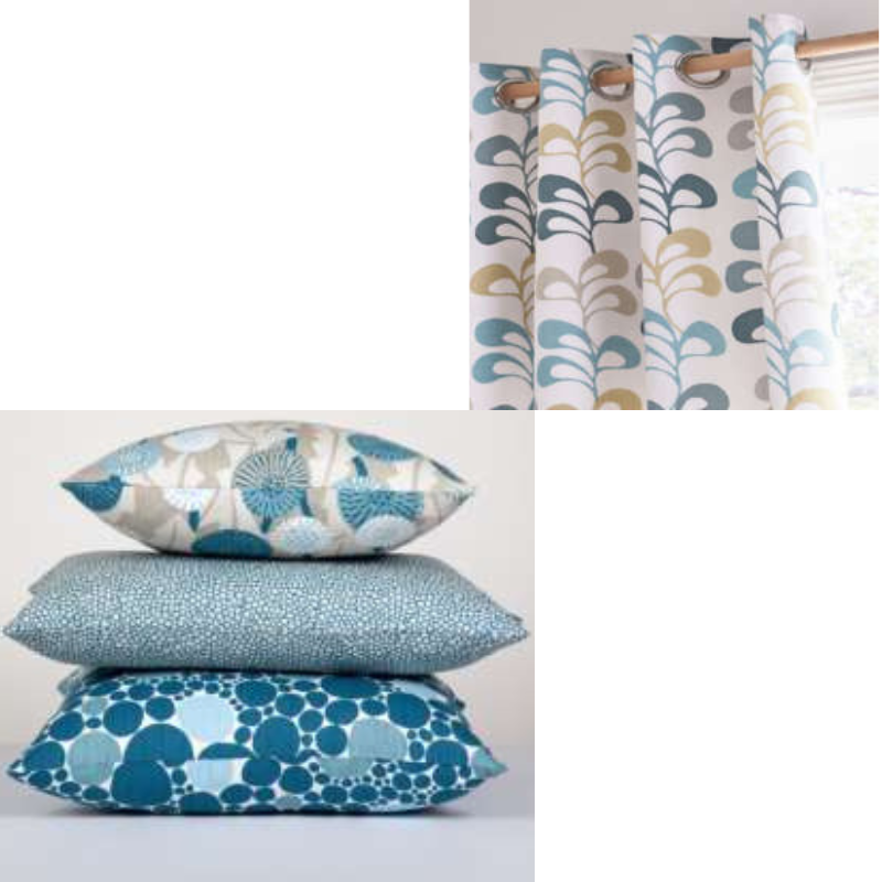 Curtain and Cushions