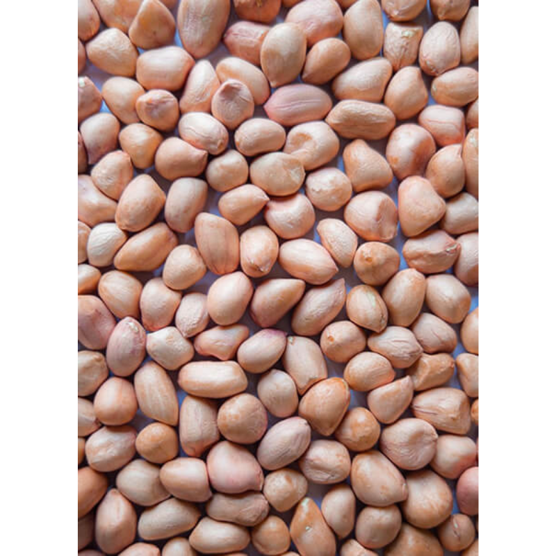 Raw Java Peanuts
