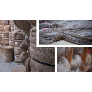 Raw Flax