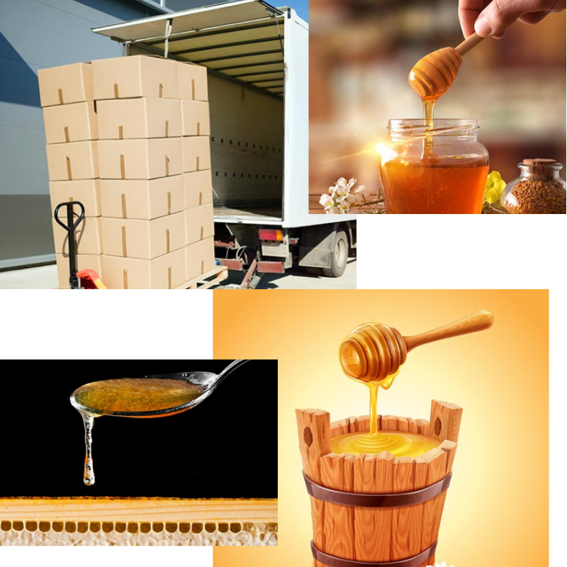 Honey in Bulk