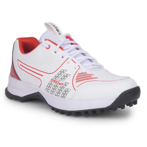 Men's Cricket Shoes