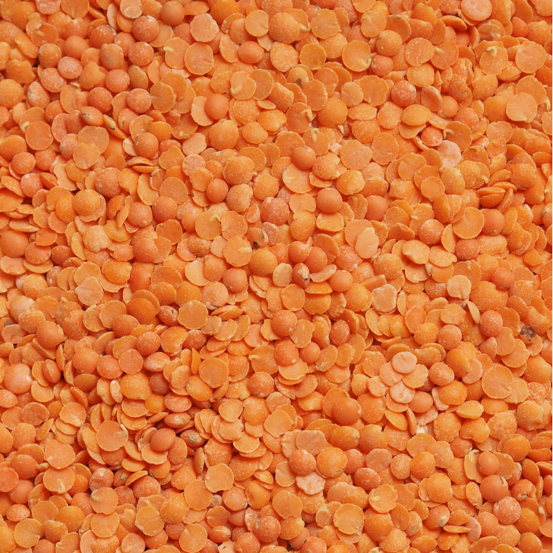 Pulses of all kinds