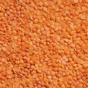 Pulses of all kinds