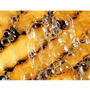 Sunflower Oil in Bulk