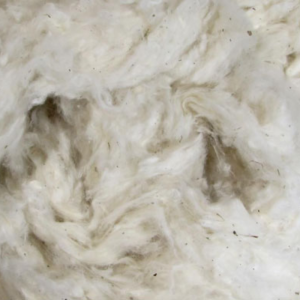 Raw Cotton in Bulk