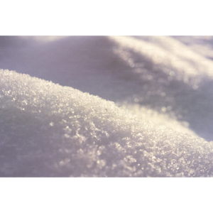 Refined Sugar