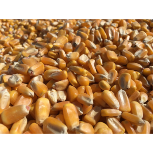 Livestock Feed Premixes