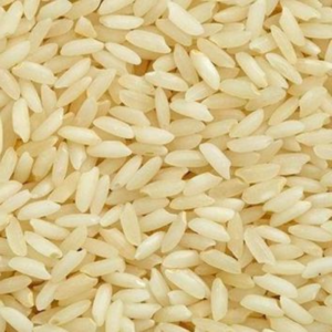 Rice in Bulk |  Long Grain Basmati & Jasmine Varieties from a Global Supplier