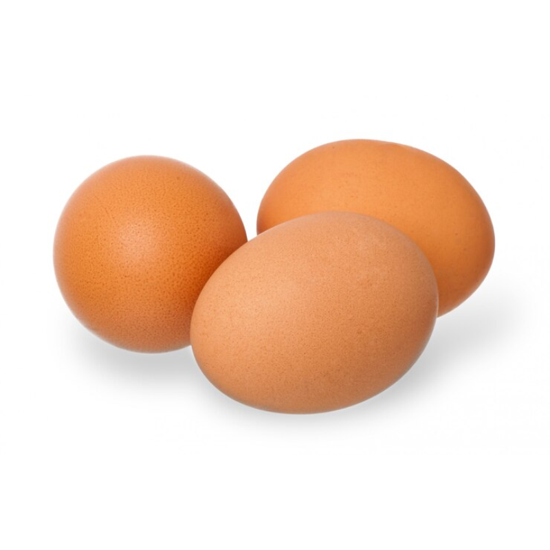 Whole Egg Powder