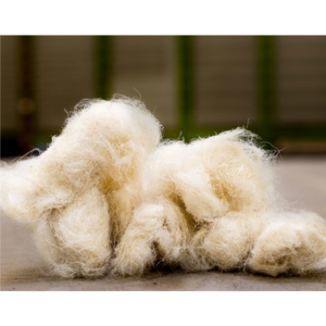 Hemp Fiber 