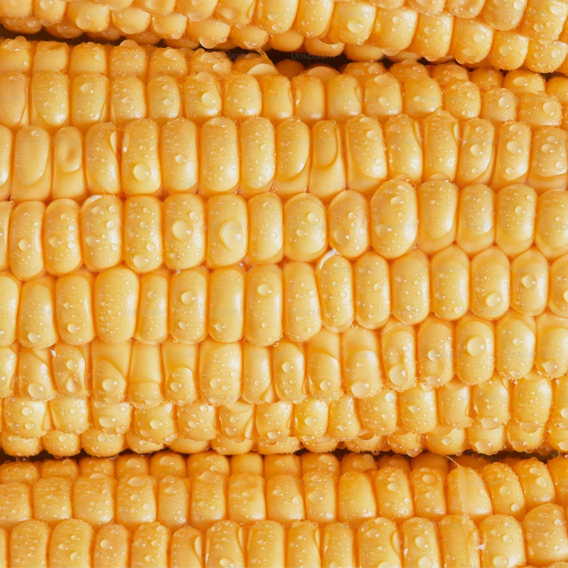 Non-GMO Yellow Maize