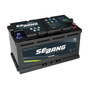 AGM Automotive Battery