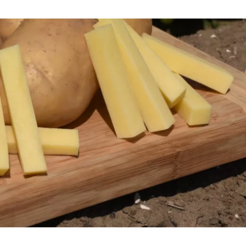 Certified Markies Seed Potatoes